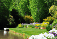 서울오피 추천 리스트와 후기로 알아보는 최고의 순위 정리 서울오피 추천 리스트와 후기 기반 순위 정리 - 서울오피 추천 리스트와 후기로 알아보는 최고의 순위 정리