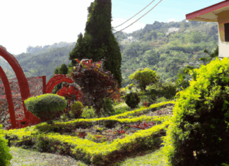 하이주소로 안전하게 링크를 전달하는 스마트한 방법 안내 하이주소 주소공유로 안전하게 링크 전달하는 스마트한 방법 - 하이주소로 안전하게 링크를 전달하는 스마트한 방법 안내