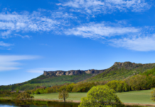 순천 오피에서 제공하는 다양한 서비스와 고객 만족을 위한 비밀 순천의 오피에는 어떤 서비스가 진행될까 - 순천 오피에서 제공하는 다양한 서비스와 고객 만족을 위한 비밀